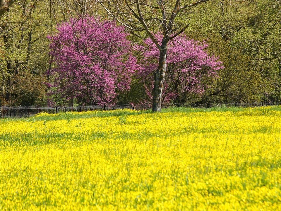 Livadaki Village Megali Kapsi 외부 사진