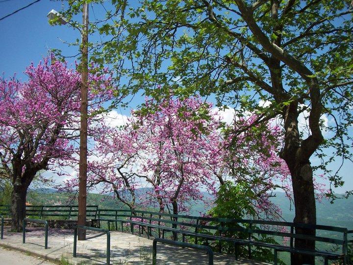 Livadaki Village Megali Kapsi 외부 사진