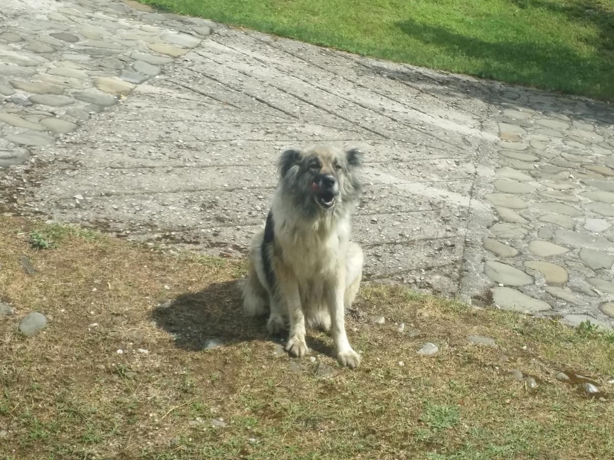 Livadaki Village Megali Kapsi 외부 사진