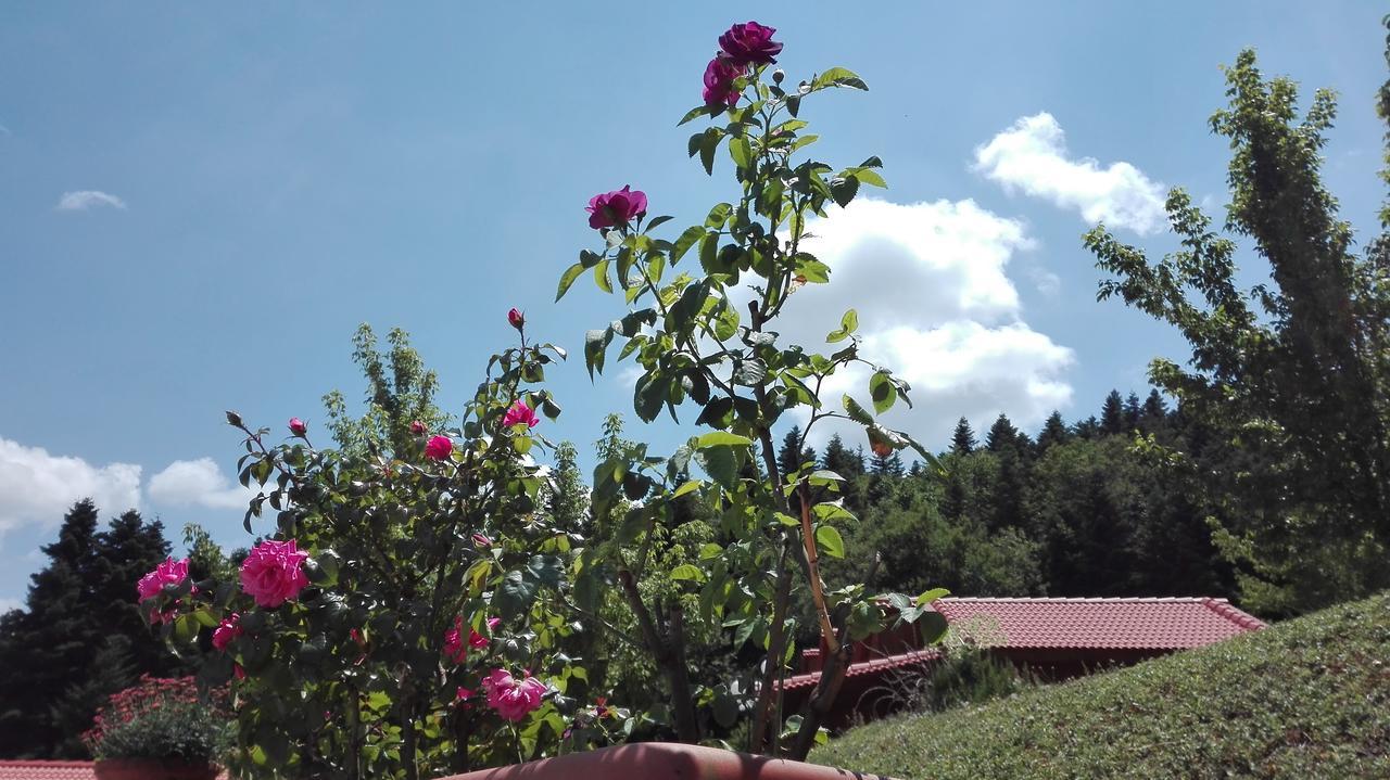 Livadaki Village Megali Kapsi 외부 사진